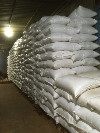 top-quality-ugandan-robusta-and-arabica-coffee-beans-contact-27719755564-big-0