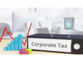 approved-auditors-and-tax-consultants-in-uae-small-0