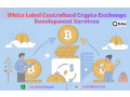 white-label-centralized-crypto-exchange-development-services-small-0