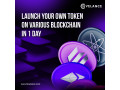 launch-your-crypto-token-in-just-1-day-at-an-affordable-cost-small-0