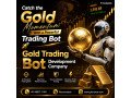 golds-new-highs-could-inspire-the-next-big-trading-platform-small-0